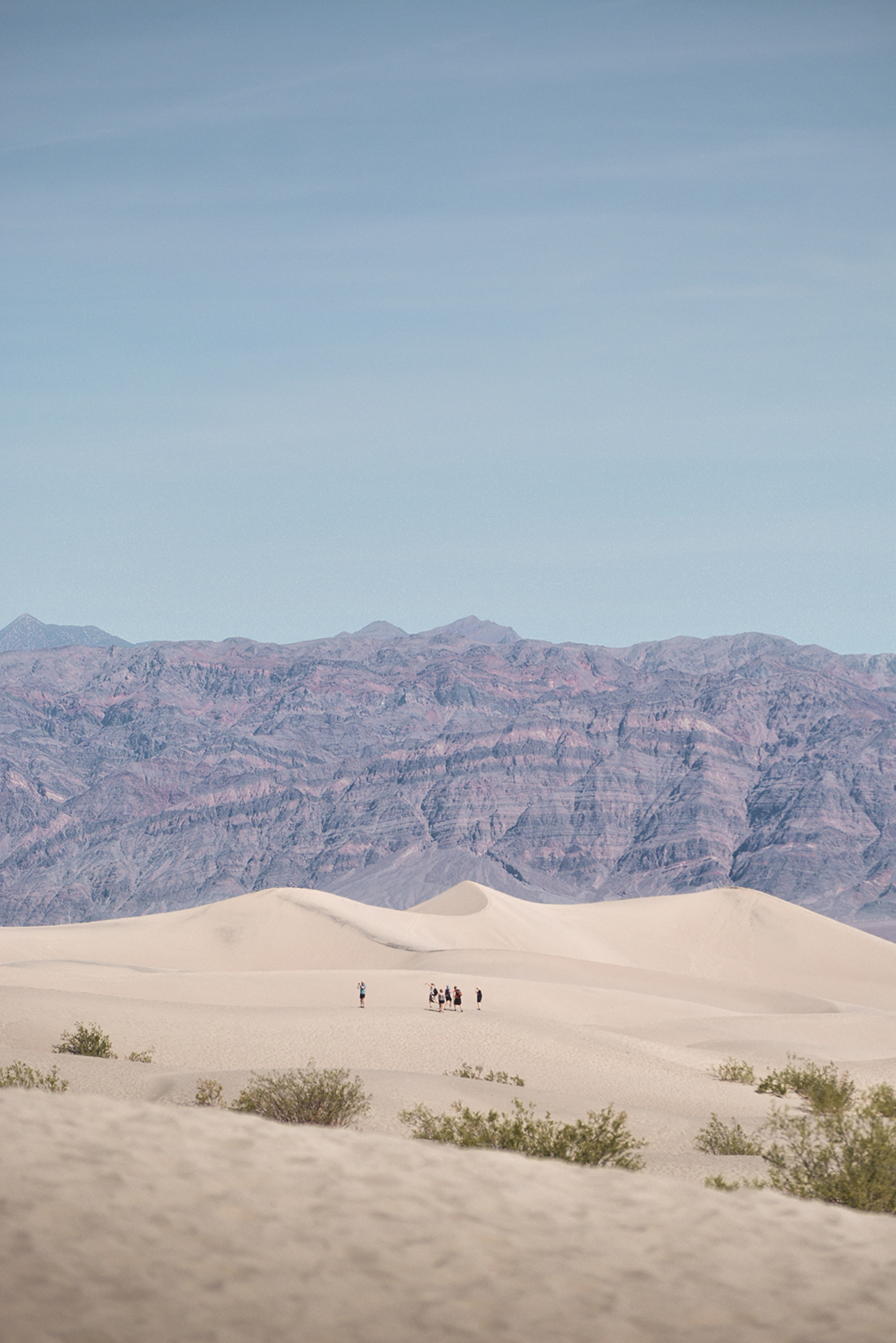 Desert landscape Mesquite Flat Sand Dunes